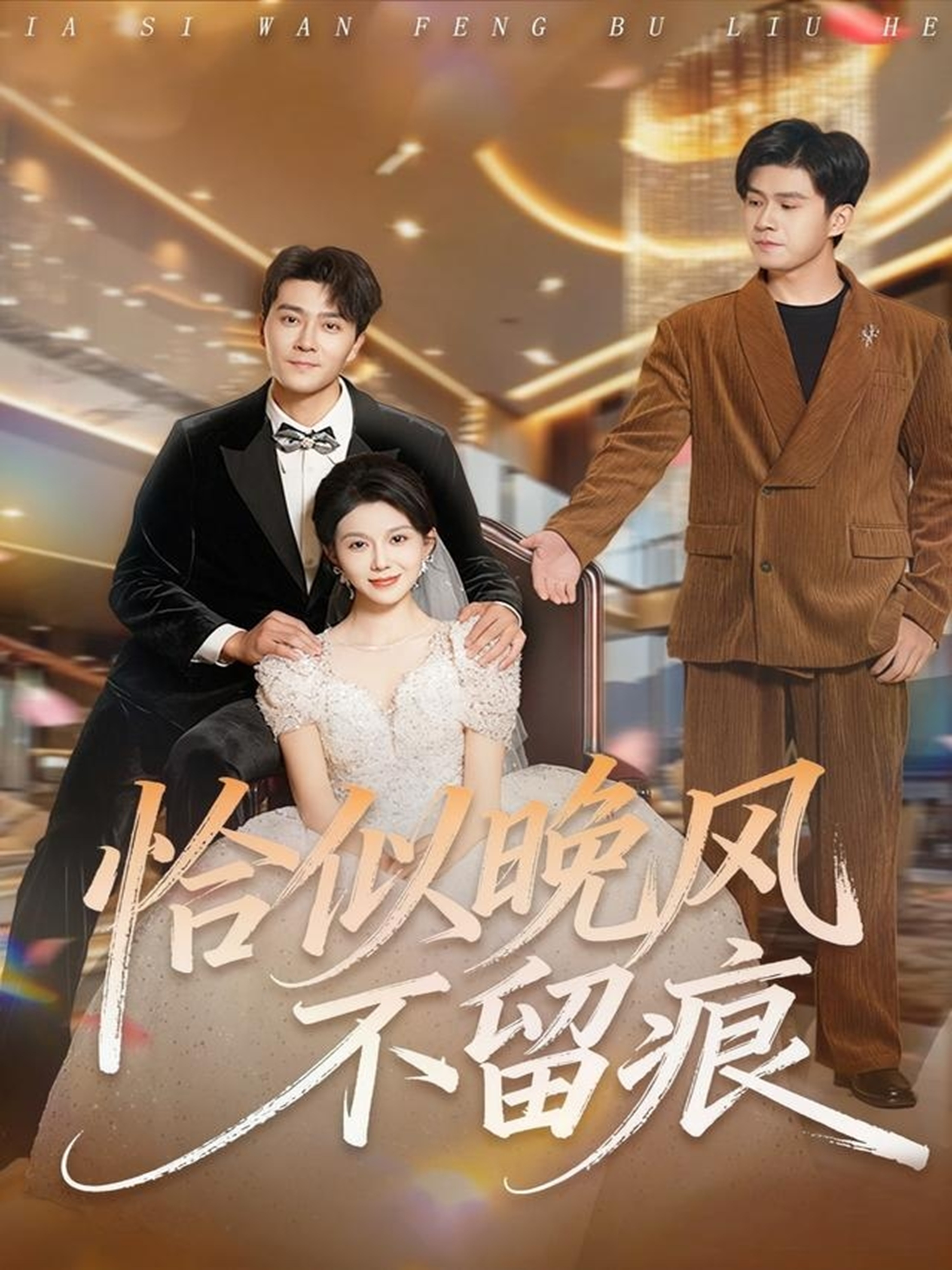 恰似晚风不留痕(全集)