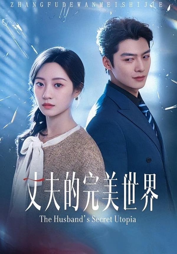 丈夫的完美世界(全集)