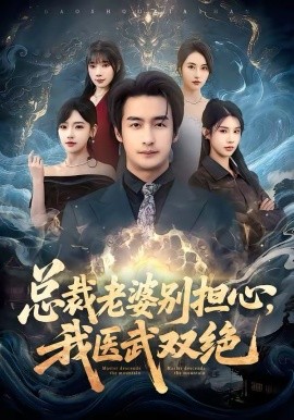 总裁老婆别担心，我医武双绝(全集)